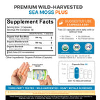 Power By Naturals SeaMoss Plus - USDA Organic Irish Sea Moss Capsules w/Wild Harvested Irish Seamoss, Bladderwrack & Burdock Root Immunity Supplement Sea Moss Pills for Adult 60Ct - 1 Pack
