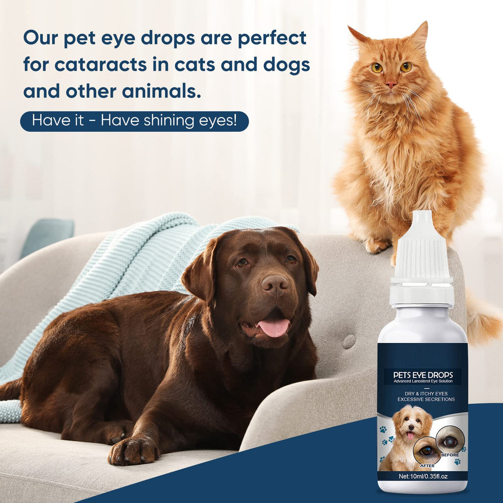 asomooh Cataract Drops for Dogs, Dog Eye Drops, Improve Vision Clarity, Improve Eye Vision and Cataracts(2 x 10 mL)