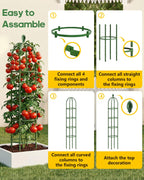 2 Pack 6.2ft High Adjustable Garden Trellis for Climbing Plants, Green
