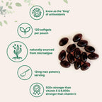 Micro Ingredients Astaxanthin 12mg with MCT Oil, 120 Softgels, 4 Month Supply | Premium Astaxanthin Antioxidant Supplements* | Fresh Microalgae Source | Triple Strength, Non-GMO, Gluten Free, No Soy