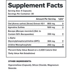 LEGION Athletics Ascend Nootropic - All-Natural Brain Supplements for Memory and Focus - Nootropics Brain Support Supplement with Alpha-GPC - Brain Supplement for Alertness & Mood Support, 30 Servings