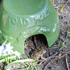 Esschert Design Toadhouse