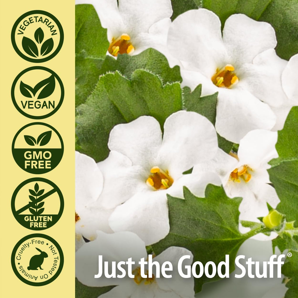 Nature's Answer Bacopa Monnieri | Helps Improve Memory | NON-GMO| No Preservatives | Gluten-Free, Vegan & Vegetarian – 500mg (90 Capsules)