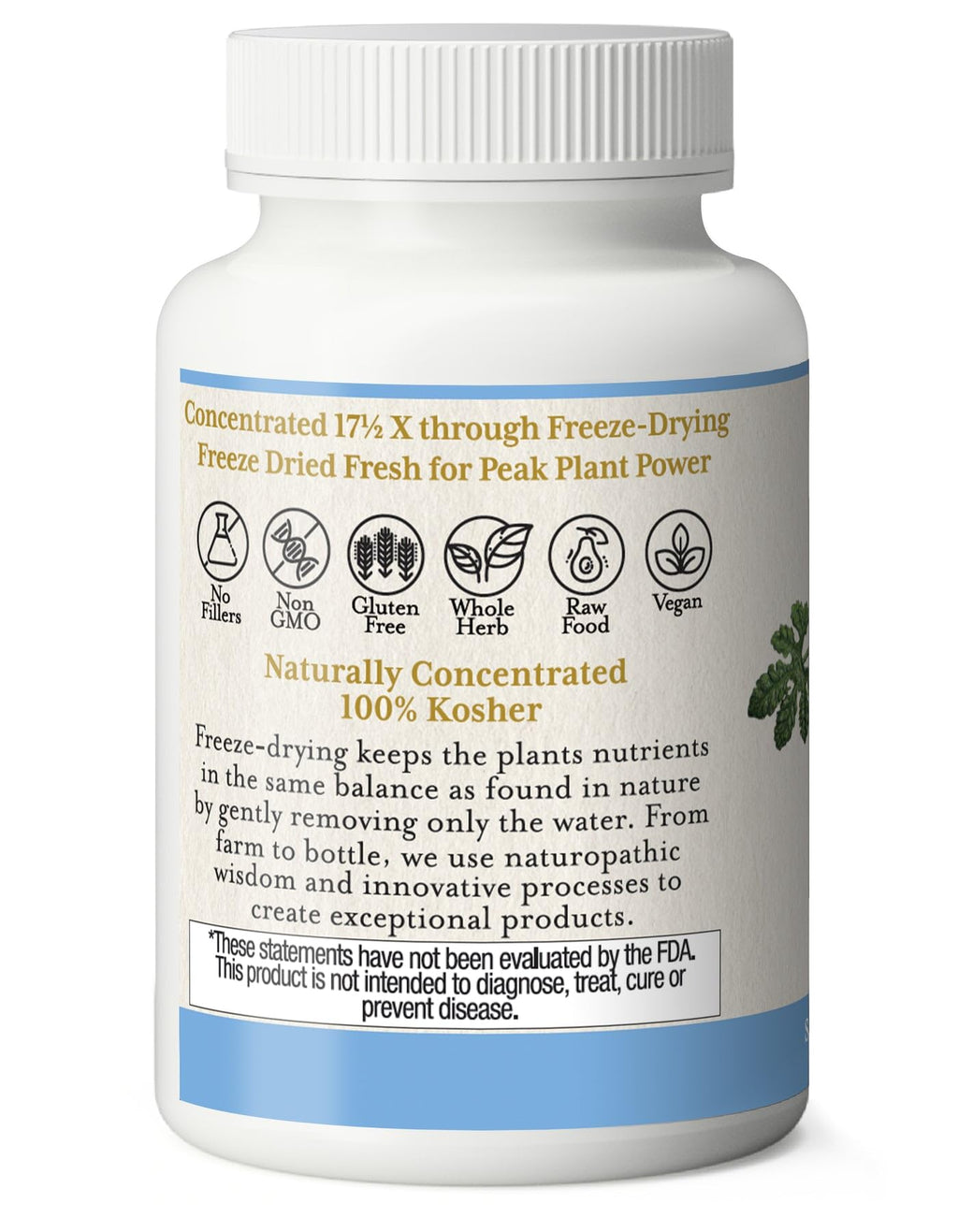 Eclectic Herb - Bitter Melon Capsules | Digestion & Immune Support Supplement | Overall Wellness Support | US-Grown, Vegan, Non-GMO, Gluten Free (90 CT | 200 mg)