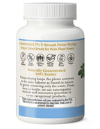 Eclectic Herb - Bitter Melon Capsules | Digestion & Immune Support Supplement | Overall Wellness Support | US-Grown, Vegan, Non-GMO, Gluten Free (90 CT | 200 mg)
