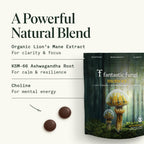 Fantastic Fungi Organic Mushroom Gummies for Focus & Memory, Lions Mane, Choline & Ashwagandha Gummies for Adults | Vegan, Sweet & Sour Flavor | 1 Month Supply | 60 Gummy Chewables
