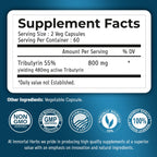 Immortal Herbs Tributyrin Supplement 800mg, Advanced Butyrate Form, 55% Standardized, More Effective Delivery Than Sodium Butyrate, 120 Capsules, Non-GMO & Gluten Free Postbiotic Supplement