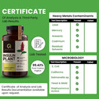 Afiyah Organic - Premium Quality Costus Igneus (Insulin Plant) Capsules - Easy to Swallow 240 Veggie Capsules (2 Month Supply) - Made in the USA - Including Complete Health Support Program