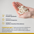 Premier Research Labs Colostrum-IgG - Colostrum Supplement, Bovine Colostrum for Humans, Cow Colostrum for Immune Health, Superfood with Lactoferrin, Amino Acids, Nucleotides - 60 Capsules
