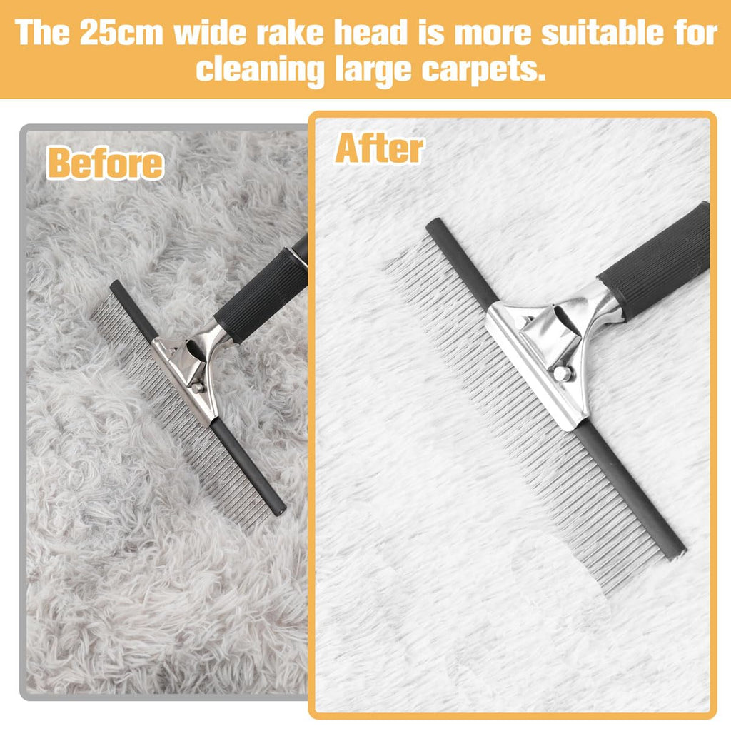 Astfys Big Carpet Rake with Long Handle, Black and Silver