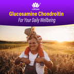 Glucosamine Chondroitin Gummies, Sugar Free Glucosamine Chondroitin MSM Supplement, Extra Strength with Boswellia Turmeric, Hydrolyzed Collagen & Hyaluronic Acid, Bone Health for Men & Women, 60 Cts