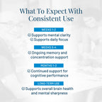 Provasil Brain Supplement for Memory, Focus, Mood & Concentration | Ginko Leaf Flavonoids, Bacopa Monnieri & Biotin | Improve Mental Performance, Attention & Cognitive Health (Pack of 3)