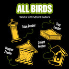 Cool Birds All Birds Wild Bird Seed, 10 lb