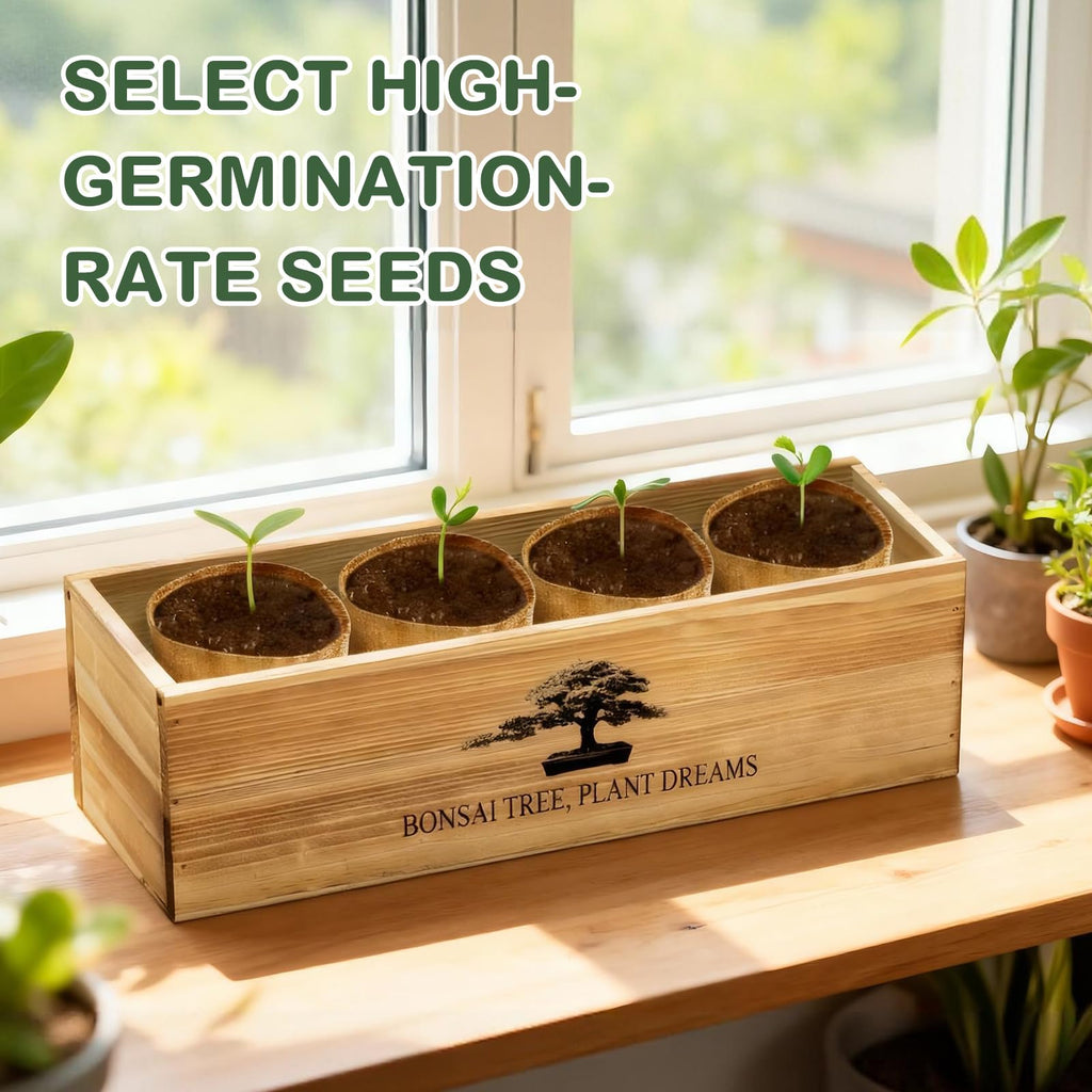 LUOJIBIE Bonsai Tree Kit, Complete Bonsai Starter Growing Kit, Christmas Birthday Gifts for Women Men Mom Dad Girls Boys, Gardening Gift for Plant Lovers, White Elephant Gifts for Adults