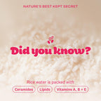 The Face Shop Rice Water Bright Vegan Cream - Instant Moisturization Quick-Absorbing Formula - Vegan, Brightening - Rice Water, Niacinamide, Hyaluronic Acid - Moisturizer Face Cream - Korean Skin Care