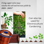 Emtel 24 AWG - 1 lb (805 feet) 99.9% Pure Copper Wire, Enameled Magnetic Wire for Motor, Transformer, Magnetic Coil, & Electroculture Gardening, Winding Magnet Wire - 220°C (428°F) Thermal Class