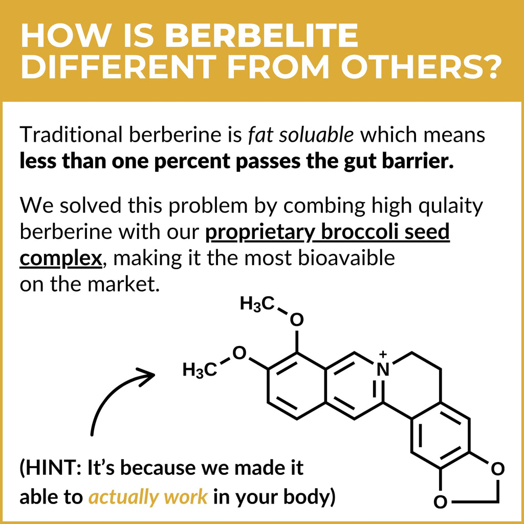 Mara Labs BerbElite | 350mg Berberine HCL & Broccoli Seed Complex for Increase Bioavailability | 30 Vegan Capsules