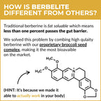 Mara Labs BerbElite | 350mg Berberine HCL & Broccoli Seed Complex for Increase Bioavailability | 30 Vegan Capsules