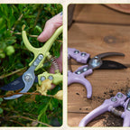 Modern Sprout Bypass Hand Pruners - Scissors - Gardening Tools - Chartreuse