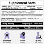 Nootropics Depot Polygala tenuifolia Capsules | 100mg | 180 Count | 20:1 Extract | Yuan Zhi | Promotes Cognitive Function, Learning and Memory | Supports Healthy Stress Levels | Adaptogen Supplement