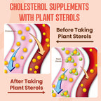 Cholesterol Supplement with Plant Sterols & Stanols, Guggul, Bergamot Orange Extract, Red Yeast Rice, Plant Sterols Complex Gummies, Mixed Berry Flavor, 60 Counts