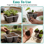 RooTrimmer 40 Pack Reusable 4-Cell Seed Starter Trays with Large Drainage Holes - Clear Transparent Trays for Root Growth Monitoring, Avoids Overwatering, Easy Transplant, Fits Standard 1020 Trays