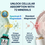 Spectrum 5 Magnesium Complex for Women & Men | Patented Aqua-Ionic® 5X Absorption Technology | 500mg Glycinate, Citrate, Malate + 72 Trace Minerals | Deep Sleep, Leg Cramp Relief & Calm | Non-Laxative