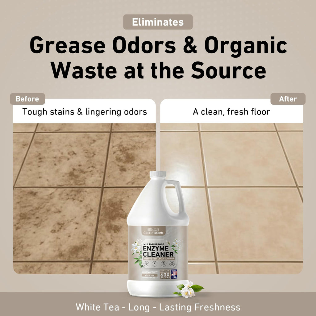 Creative Scents Multipurpose Enzyme Cleaner & Odor Remover | Super Concentrated for Floor, Carpet, Drain | Pet Urine Odor Eliminator | Enzyme Cleaner for Cat Urine & Dog Poop | 1 Gallon - White Tea