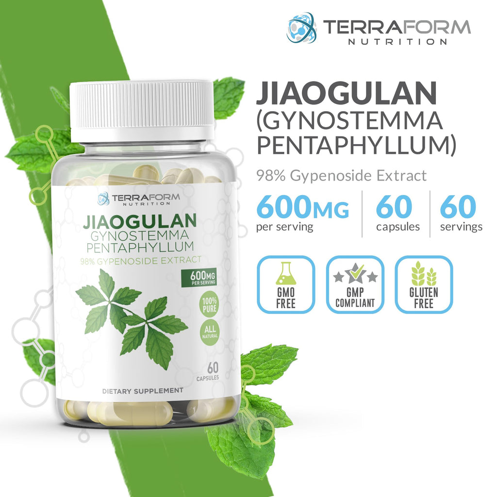 TerraForm Nutrition Gynostemma Pentaphyllum Supplement - 600mg per Capsule - 98% Gypenoside Extract - Jiaogulan - 60 Capsules - Adaptogenic Herbal Supplement