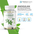 TerraForm Nutrition Gynostemma Pentaphyllum Supplement - 600mg per Capsule - 98% Gypenoside Extract - Jiaogulan - 60 Capsules - Adaptogenic Herbal Supplement