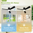 ZOUQILAI Ceiling Fans with Lights - 42 Inch Low Profile Ceiling Fan with Light and Remote, Reversible DC Motors, 3CCT Dimmable Timer Noiseless, Black Flush Mount Ceiling Fan for Bedroom/Living Room