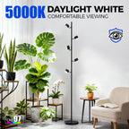 Barrina T1X5 Standing Grow Light for Indoor Plant, 6FT 50W 5000K, High PPFD