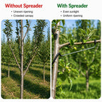 Limb Spreaders for Fruit Trees 21 PCS, 10 Inch Tree Limb Spreader, Metal Fruit Tree Branch Spreaders with Bark-Protective Rubber Hooks, Tree Branch Support for Apple Pear Cherry Plum (10 Inch)
