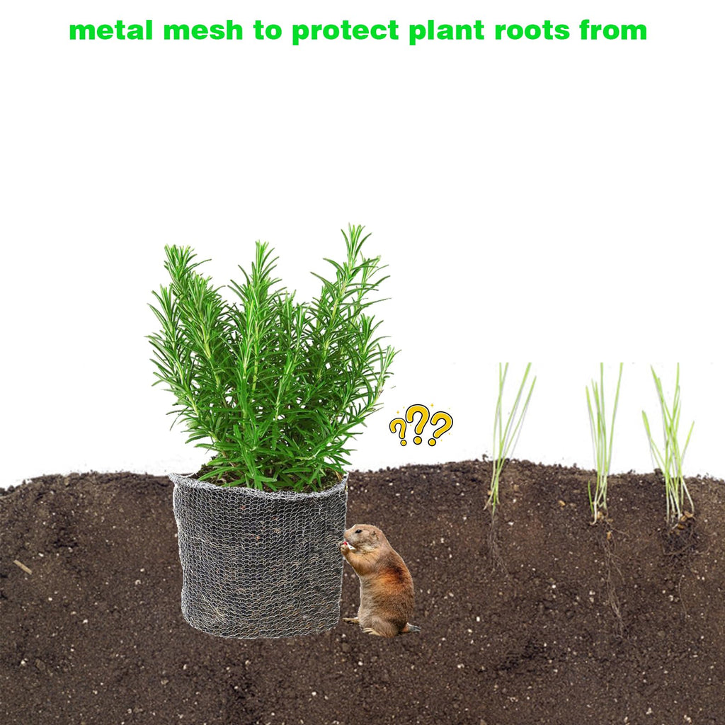 20 Packs Gopher Baskets 1 Gallon Stainless Steel Mesh Protects from Gophers