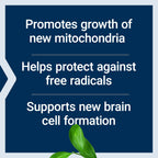 Life Extension Mitochondrial Basics with PQQ, L-Taurine, R-lipoic Acid, foundational Supplement for Cellular Energy Production, Brain and Heart Health, Gluten-Free, Non-GMO, Vegetarian, 30 Capsules