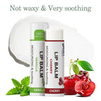 Dmsky Lip Balm Bulk - Fruit Variety Pack, Hydrating for Men, Women, Kids - 0.15 Oz, 360 Count