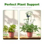 CHOUYUHE 23 Inch Plant Trellis for Potted Plants, Sturdy Metal Houseplant Trellis for Climbing Plants Indoor Outdoor, Rust-Resistant Plant Support for Monstera Pothos Ivy, 4 Pack (4, 23inch)