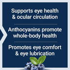 Life Extension Standardized European Bilberry Extract, 100 mg, MirtoSelect® Vaccinium myrtillus, Eye Health, Circulation, Lubrication, Gluten-Free, Non-GMO, Vegetarian, 90 Capsules