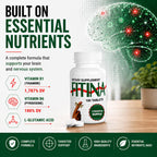 Fitina Brain Supplements for Memory and Focus with Vitamin B6 & Thiamine — High-Dose B Vitamins Nervous System and Cognitive Health Support, Daily Supplement Formula for Adults, 100 Tablets (2-Pack)