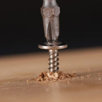 #8 x 5/8" Wood Screw 500Pcs 410 Stainless Steel Standard Thread Truss Head Fast Self Tapping by SG TZH