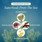 Snap Supplements Irish Sea Moss with Bladderwrack, Burdock Root & Iodine – Natural Sea Moss Supplement to Support Gut Health, Energy & Healthy-Looking Skin, 60 Vegan Capsules (1 Month Supply)