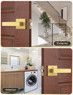 Tinewa 5 Pack Gold Keyless Square Levers Handles, Satin Brass Finish, Interior Passage Door Locksets for Hall Closet Door Knobs Lock Reversible Right & Left Handed