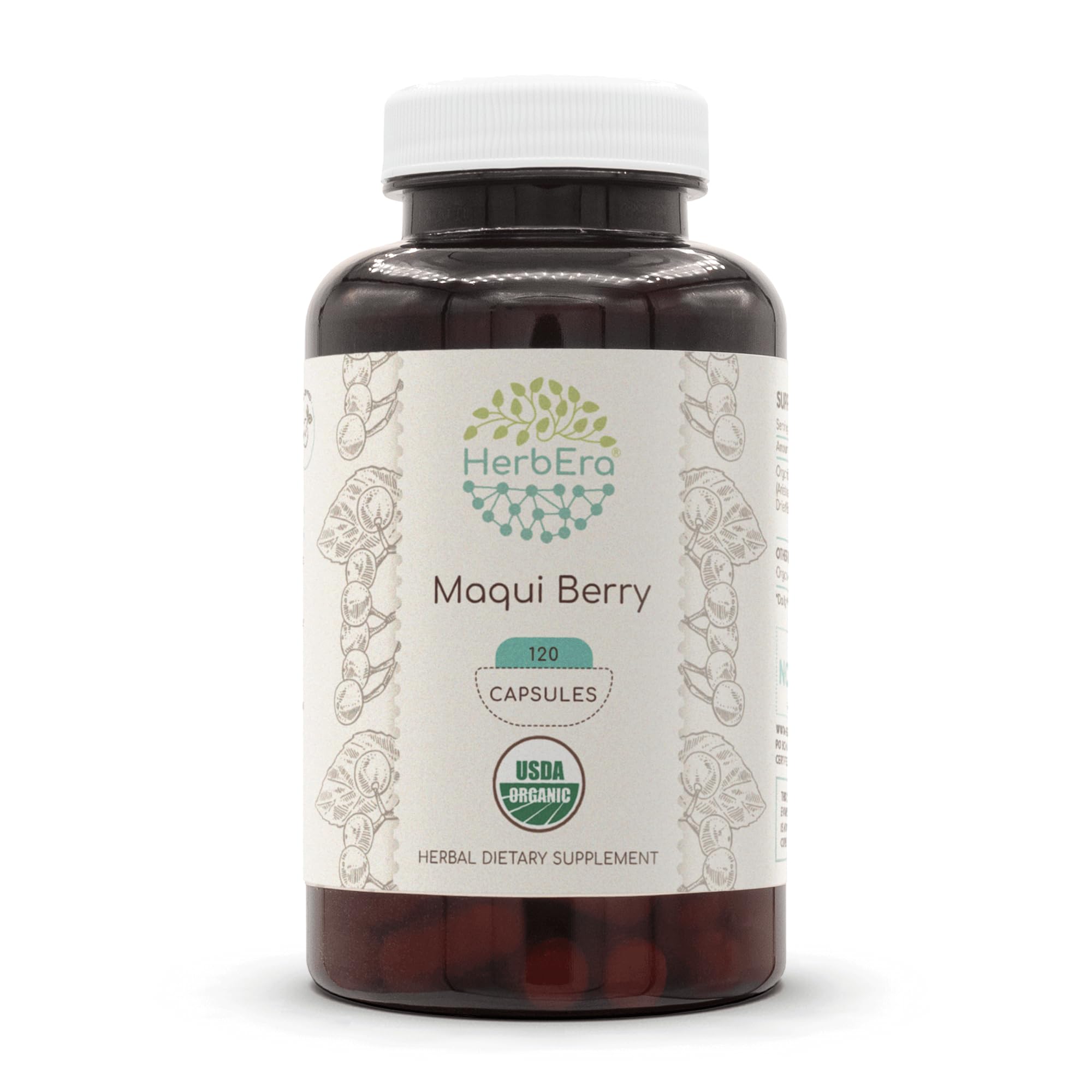 HerbEra Maqui Berry USDA Organic 120 Capsules | Natural Herbal Supplement | Certified Organic Vegetarian Capsules and Organic Aristotelia chilensis Dried Berry (120 Capsules)