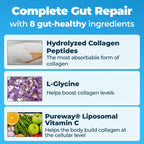 Happy Mammoth Complete Gut Repair Probiotic, Prebiotic, Fiber & Collagen Supplement for Gut Health, Digestion, Healthy Gut Microbiome, Reduces Constipation & Bloating 24 Servings, Vanilla Flavor
