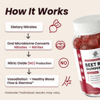 2 Pack Beet Root Gummies – Blood Pressure Support & Mood Support, Super Nitric Oxide Beets Supplement with Grape Seed, L-Theanine & Vitamin C, Sugar-Free Vegan, 30:1 Beet Root Extract, 120 Chews