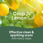 Clorox Disinfecting Cleaning Wipes for Spring Cleaning & Allergy Season, Bleach Free, Fresh Scent and Crisp Lemon, 75 Count Each, Pack of 4