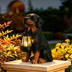 Dog Garden Statue, Rottweiler Solar Statue Holding Lantern,Rottweiler Gifts