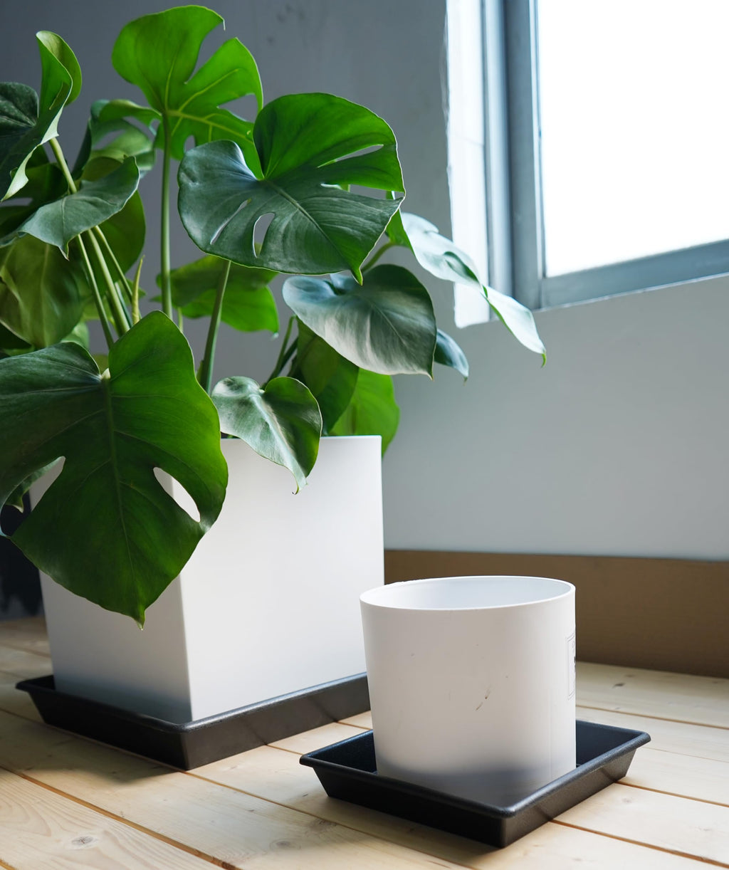 NIMYAU Square Plant Saucer 14 Inch 2 Pack 8 12 14 16 18 20 Plant Trays for Pots Heavy Duty Plastic Plant Saucers for Indoors Outdoors, Flower Pot Plant Drip, Extra Lager No Holes Plant Tray