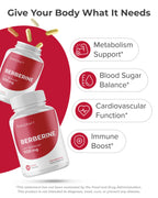 PURECRAFT Berberine Supplement 1000mg - Bioavailable Berberine Phytosome Supplement for Metabolism Support & Circulatory Wellness - 7X Absorption - Non-GMO, Gluten-Free – 60 Capsules