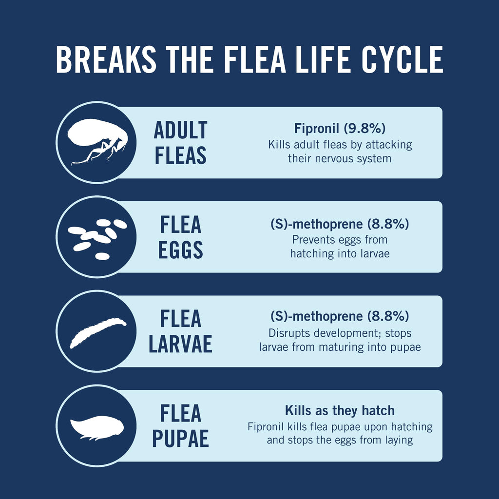 PetArmor Plus Flea & Tick Topical Dogs 45-88 lbs, 6-Month